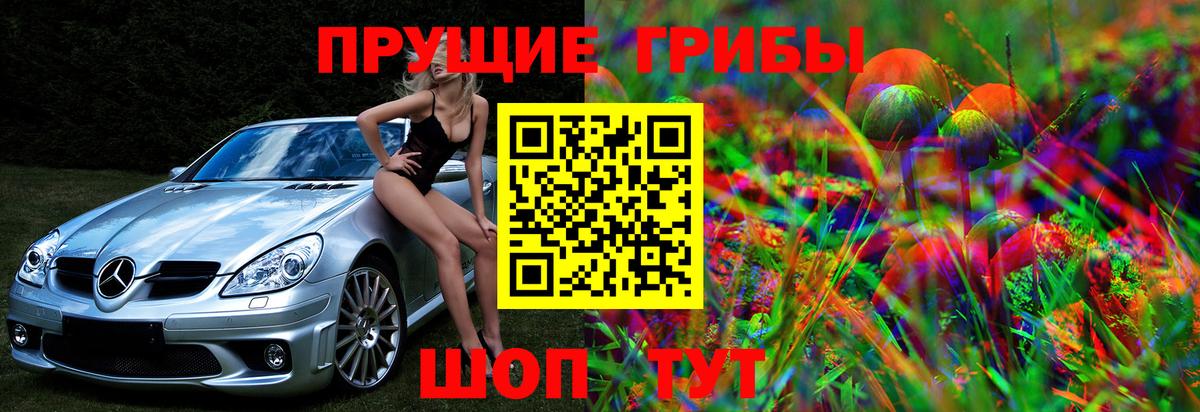 Псилоцибиновые грибы мицелий  Вход с VPN  Тимашёвск 