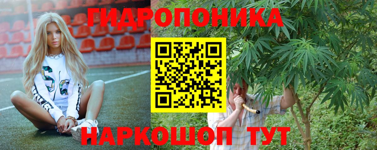 Бошки марихуана Amnesia Тимашёвск